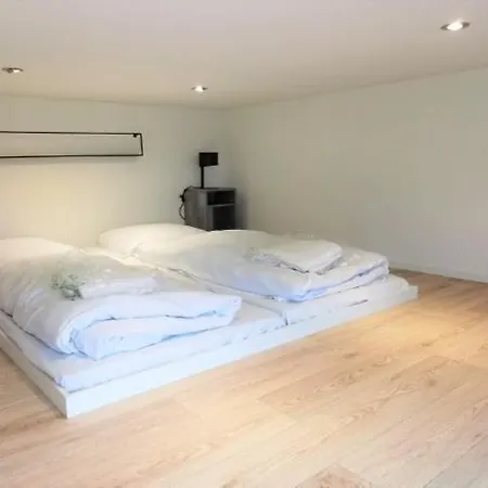 Enkhuizer Cube Elite Estel Mit Dachterrasse Und Zaun Haus Nr 337 * Enkhuizen