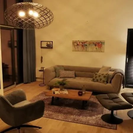 Enkhuizer Cube Elite Estel Mit Dachterrasse Und Zaun Haus Nr 337 * Enkhuizen